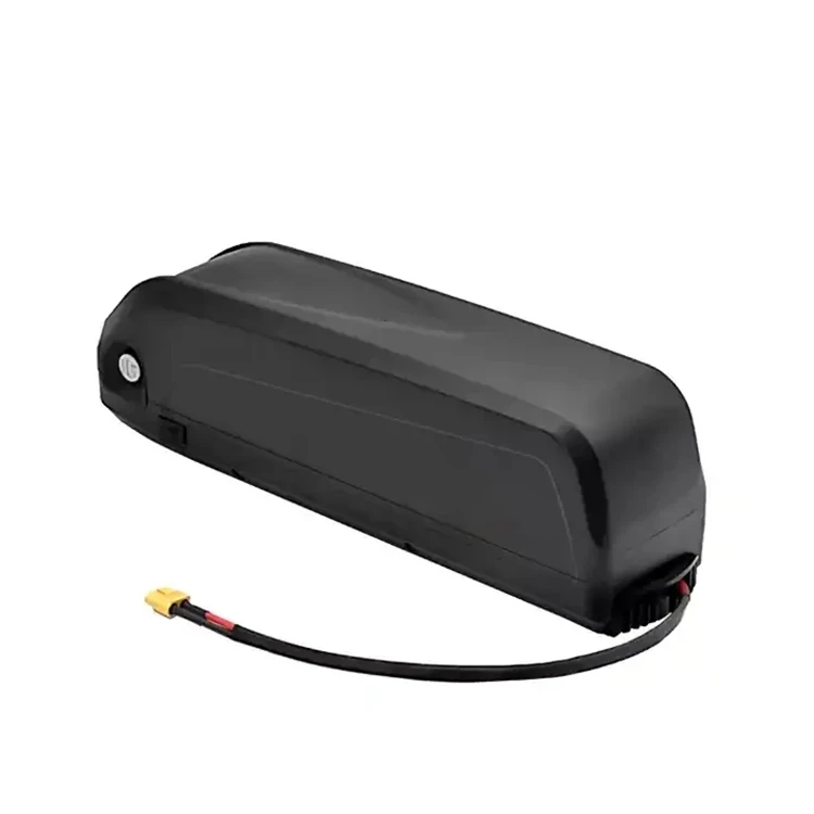 Hailong Ebike batteri