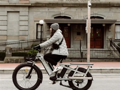 Hvordan BMS fungerer i E - cykelbatterier