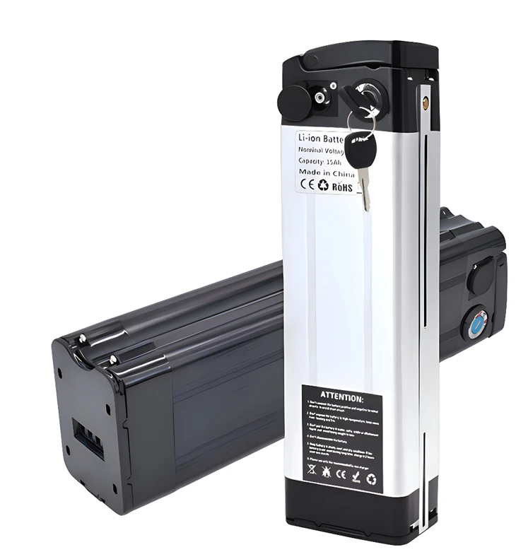 Silverfish 48v batteri