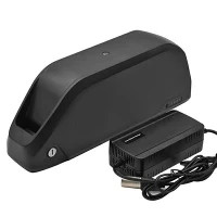 Polly Down Tube Ebike batteri